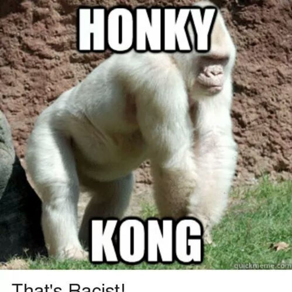 Meet your Posher, Warson