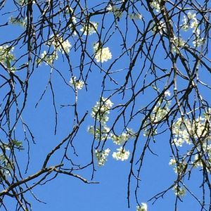 Meet your Posher, Marcia