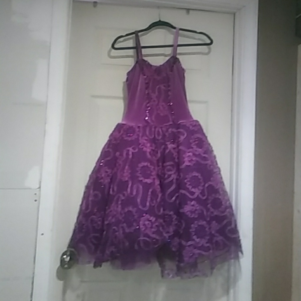 Purple princess party/ great for dress up