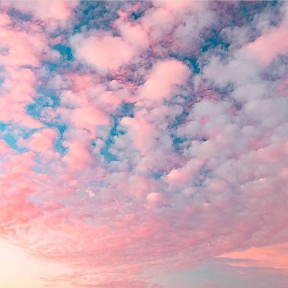 Meet your Posher, Tori