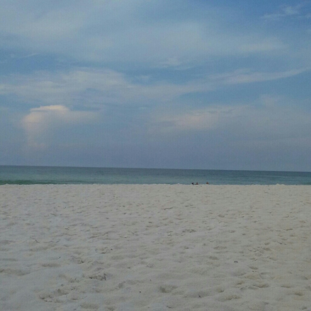 Meet your Posher, Arielle