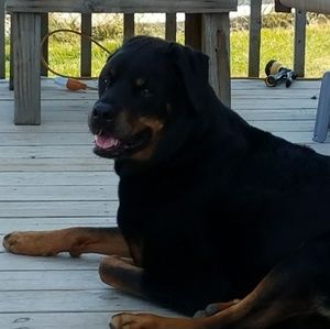 Meet your Posher, Stacy