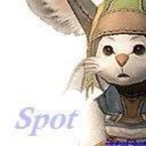 Meet your Posher, Shawn