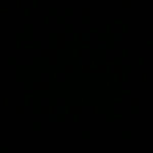 Meet your Posher, Yony