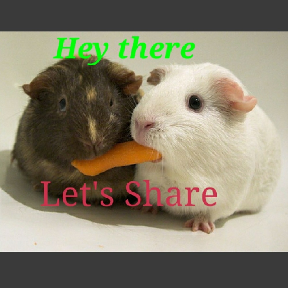 I love to share 🤓