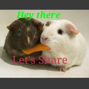 I love to share 🤓