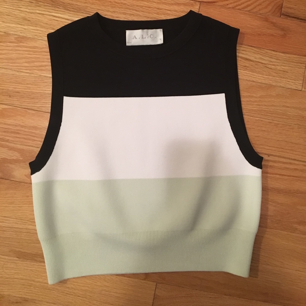 A.L.C. Colorblock crop top sz small
