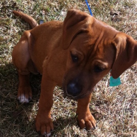 Meet your Posher, Haley - Picture 1 of 1