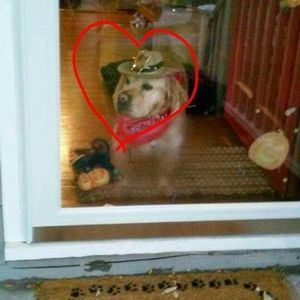 Meet your Posher, Leslie