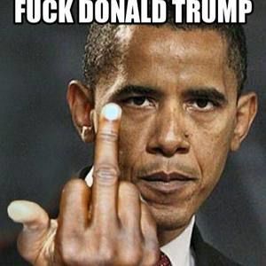 Meet your Posher, Dough