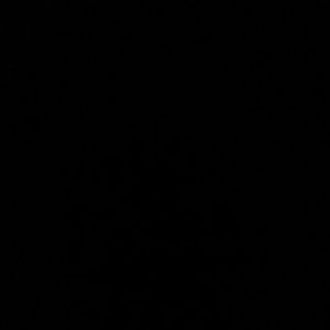 Meet your Posher, Latandra