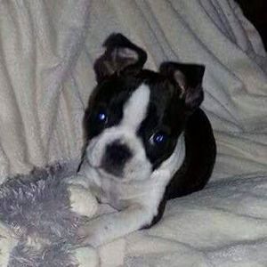 Meet your Posher, April