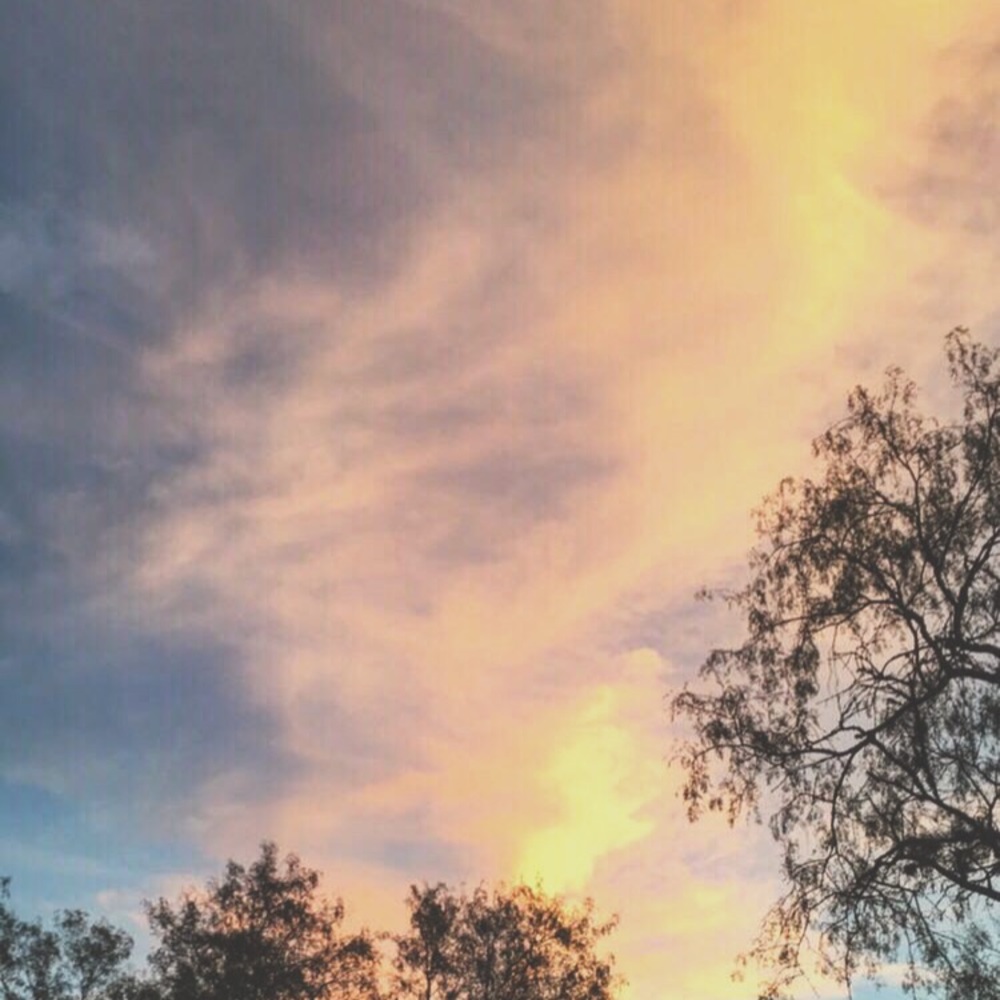 Meet your Posher, Julianni