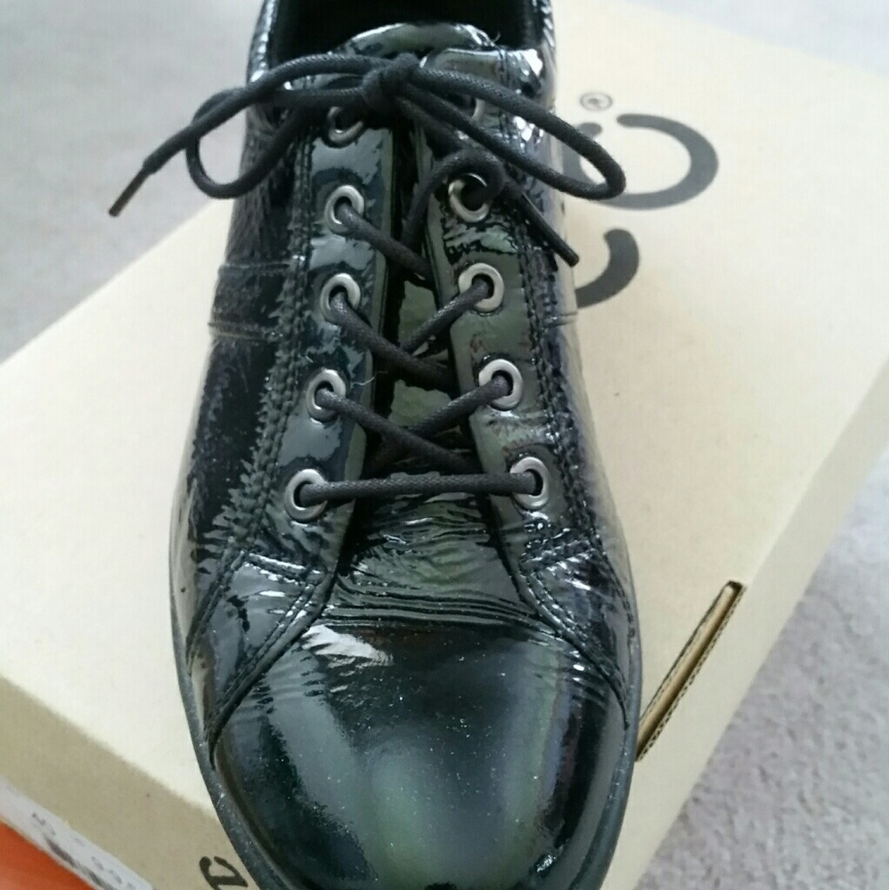 Fashion Sneaker / Oxford