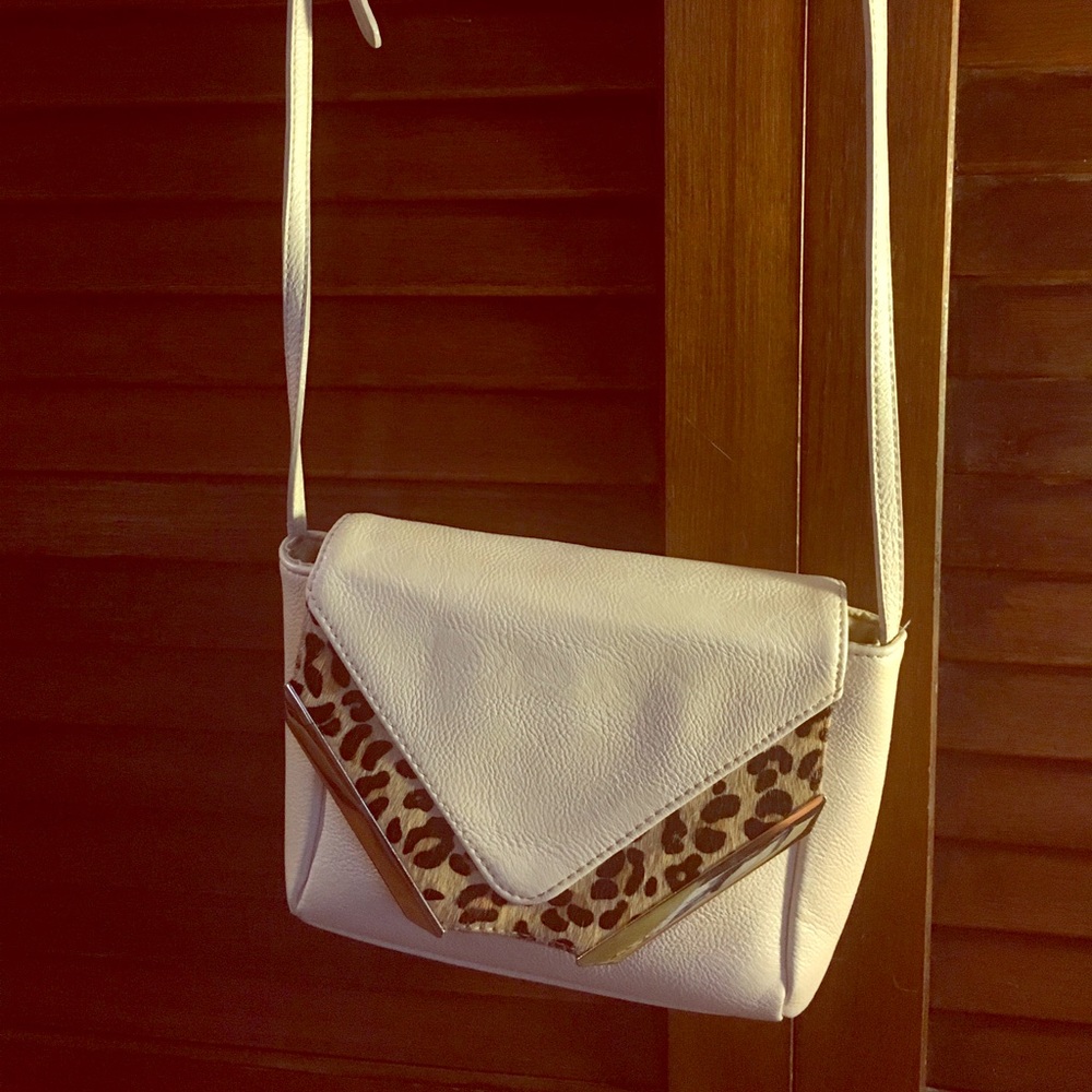 Cute Express purse!