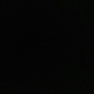 Meet your Posher, Nellie