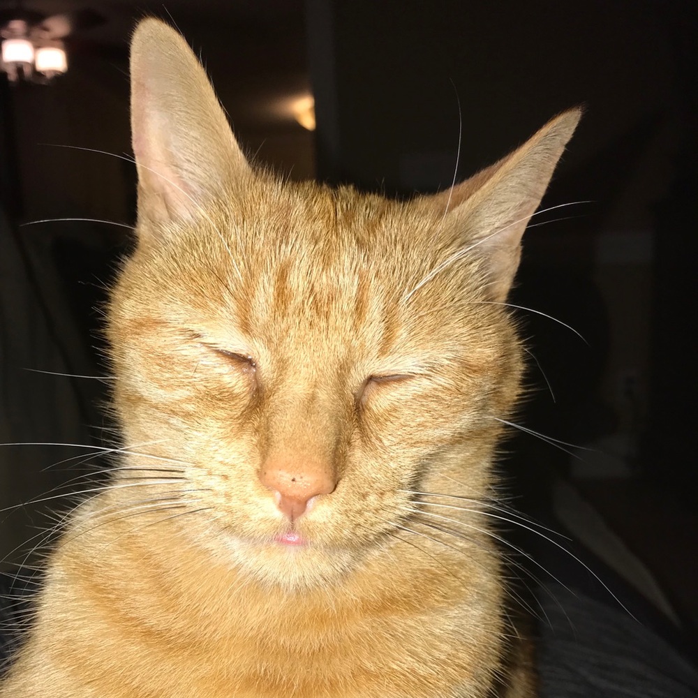 Meet your Posher, Taylor