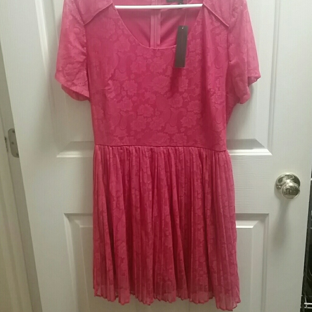 Pink Lace Dress (NWT)