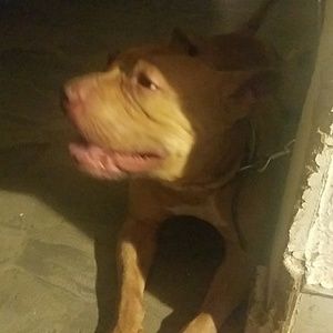 Meet your Posher, Gina