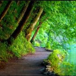 Meet your Posher, Lidia