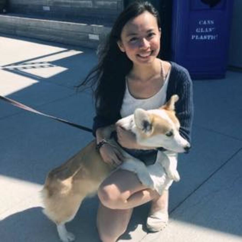 Meet your Posher, Jolyne