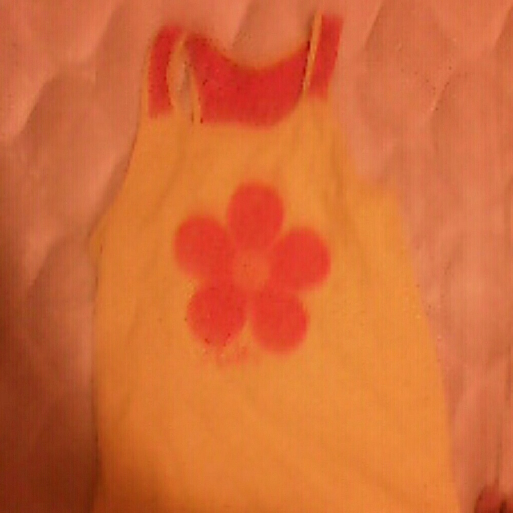 Faded Glory cute orange shirts with orange flower