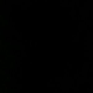 Meet your Posher, Bridgette