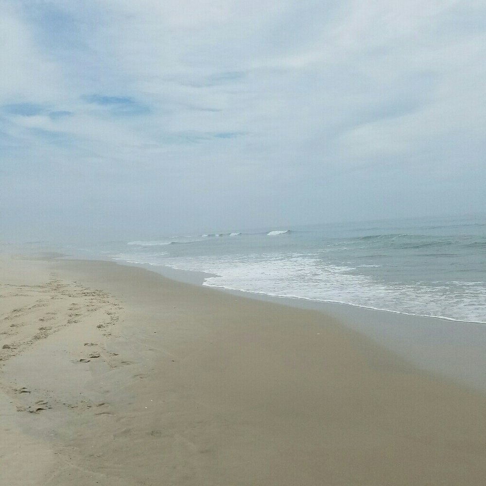 Meet your Posher, Fidelia