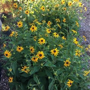 Meet your Posher, Kay