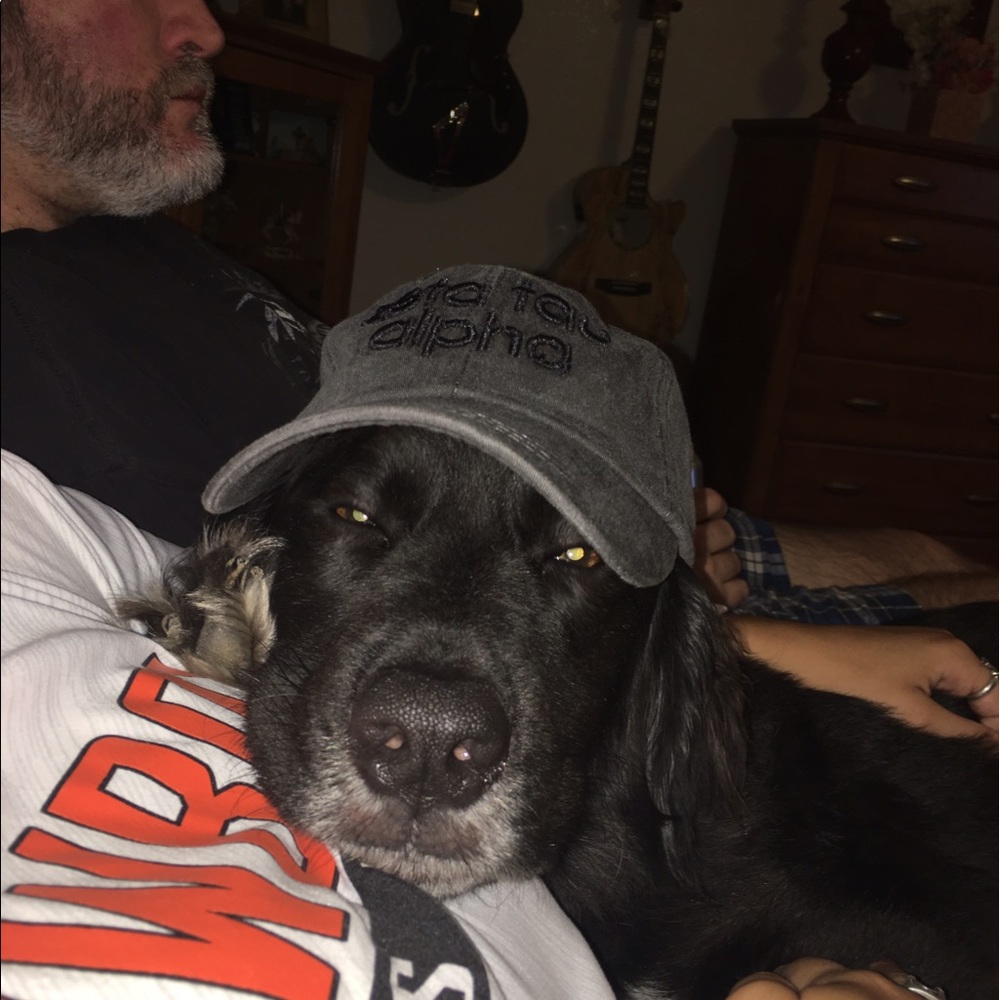 Meet your Posher, Stacy