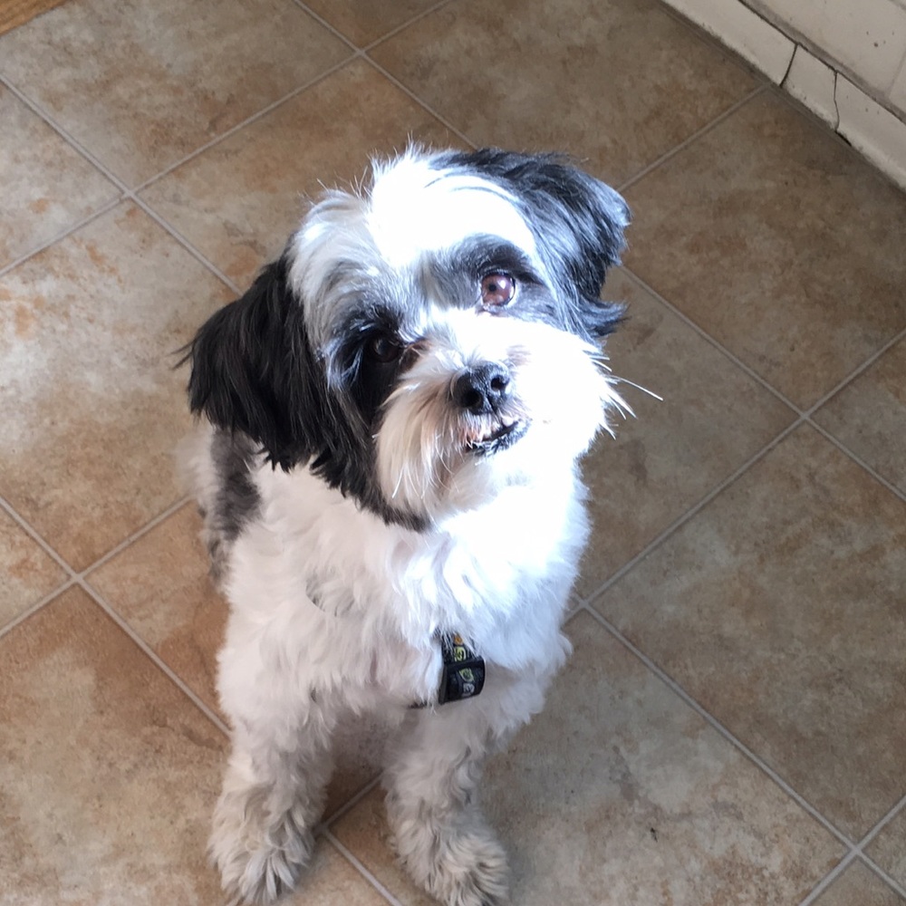 Meet your Posher, Ali