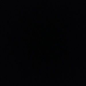 Meet your Posher, Bailey