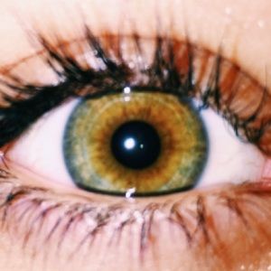 Meet your Posher, Floryan