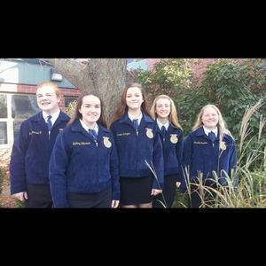 Meet your Posher, Brittney