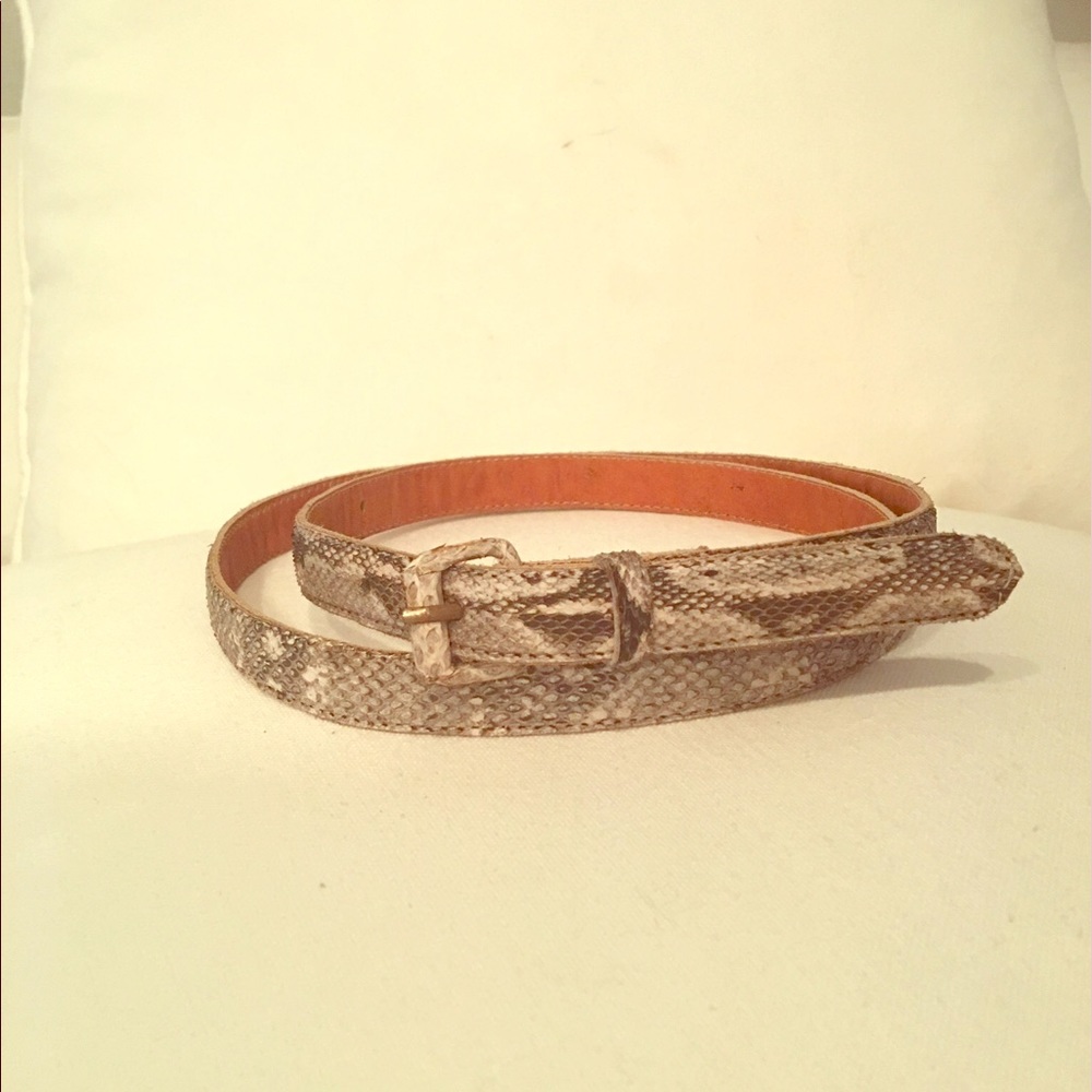 Python Belt! - image 1