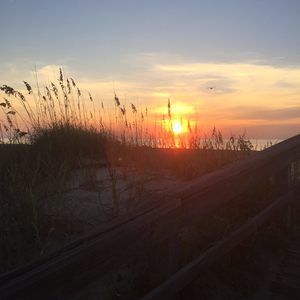 Meet your Posher, Yvvette