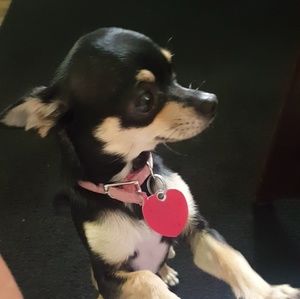 Meet your Posher, Jairo