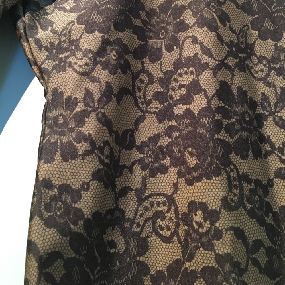 American Apparel Lace Illusion Bodycon Dress - Picture 2 of 4