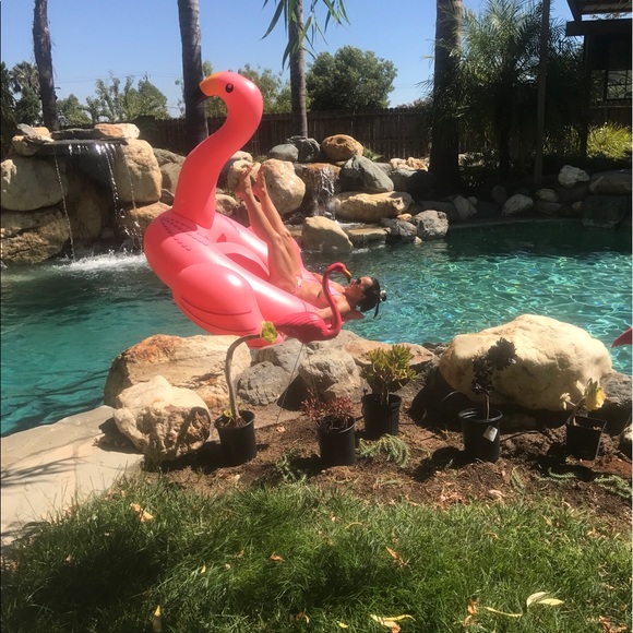 Hi- I'm Posher Joanne- yoga  adventure - Picture 2 of 6