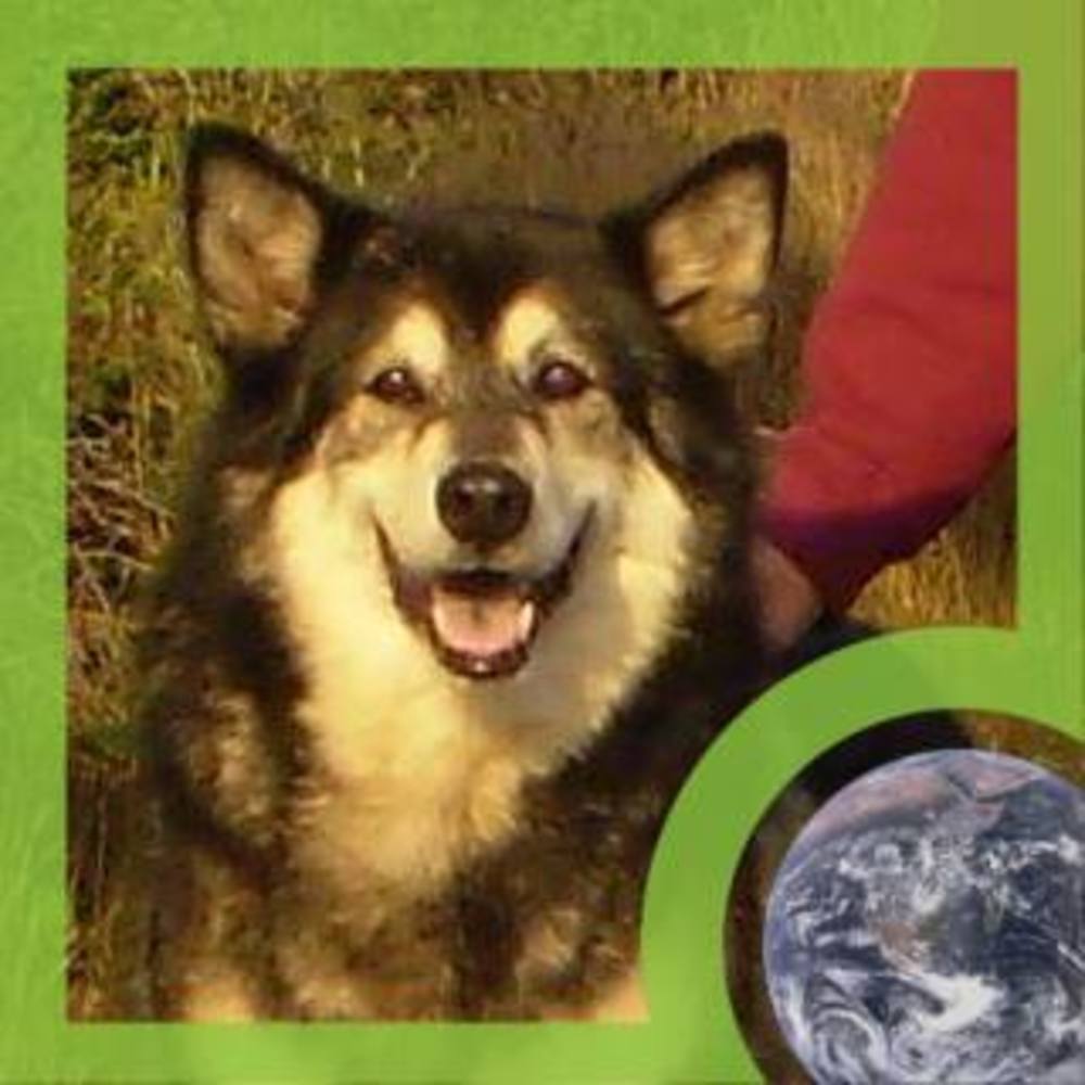 Meet your Posher, Carmel