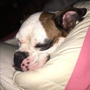 Meet your Posher, Stacey