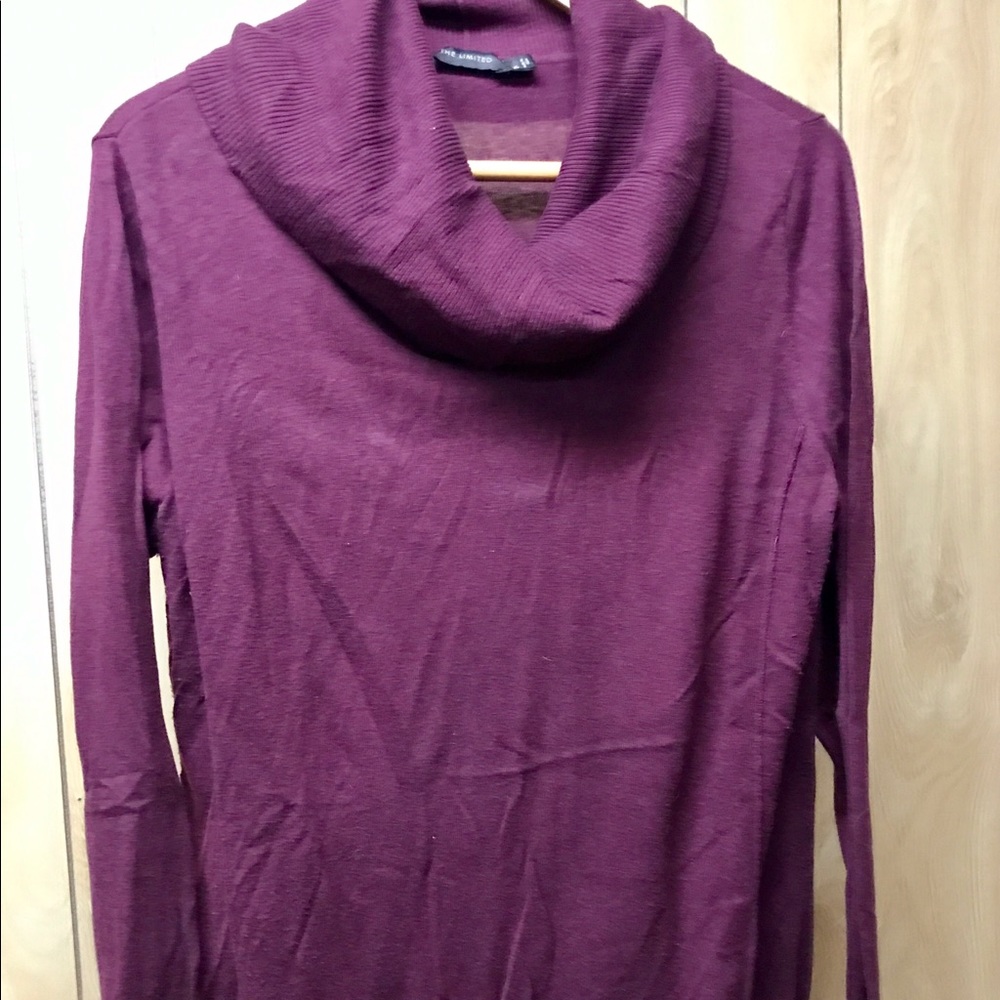 The Limited Maroon Cowl Neck Sweater XL