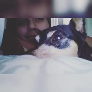 Meet your Posher, Lilly