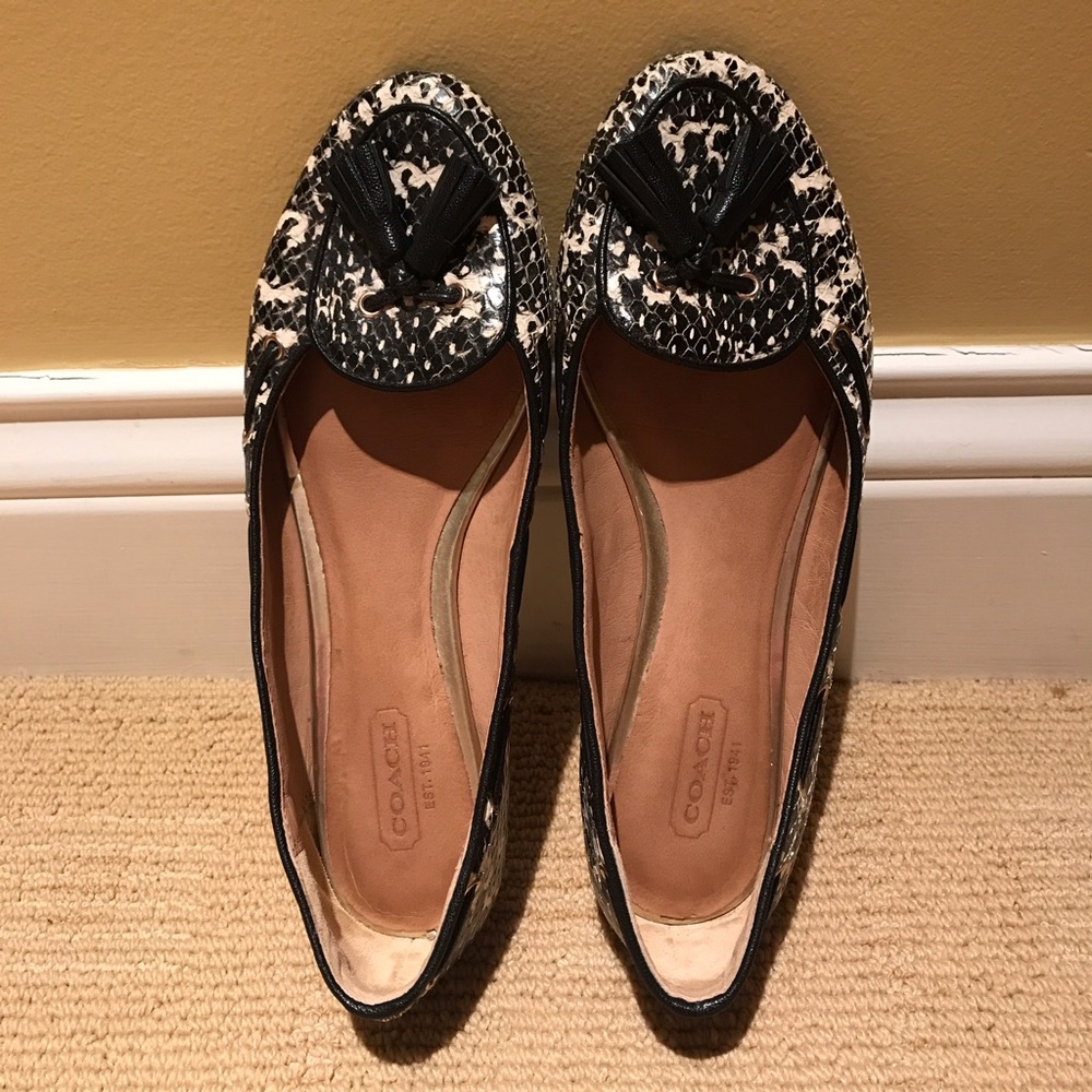 Coach Loafers (Snake)