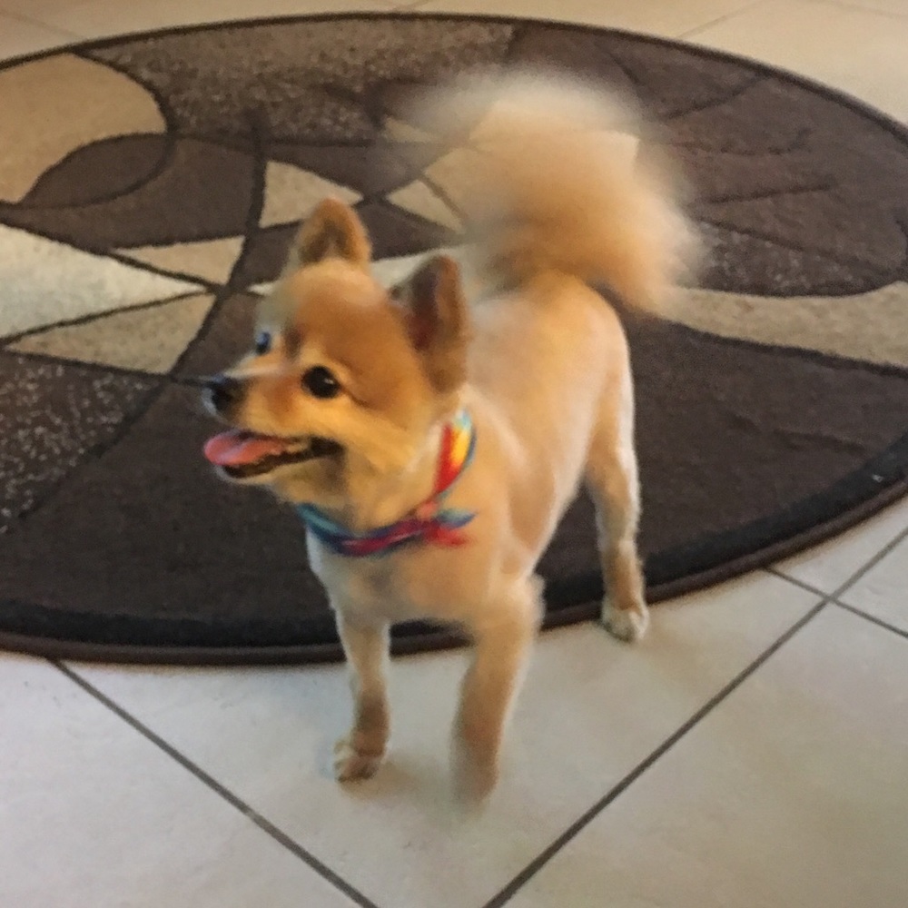 Meet your Posher, Emily