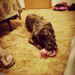 Meet your Posher, Robert