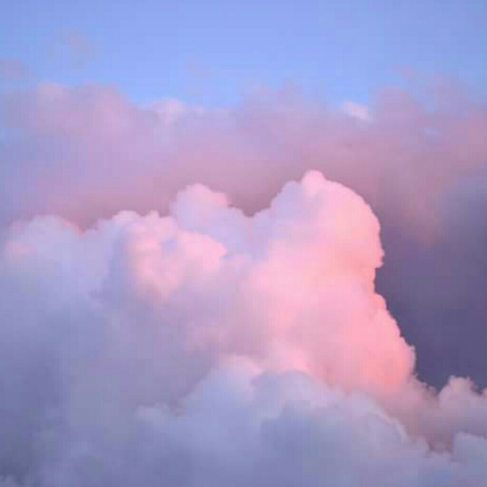 Meet your Posher, Lizbeth