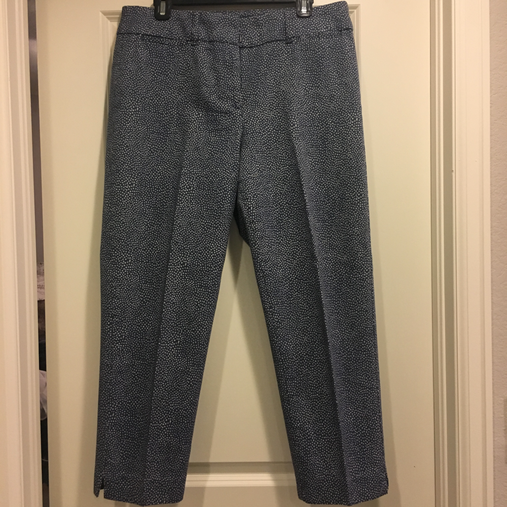 LOFT Julie Fit Riviera Ankle Pants - Sz 10
