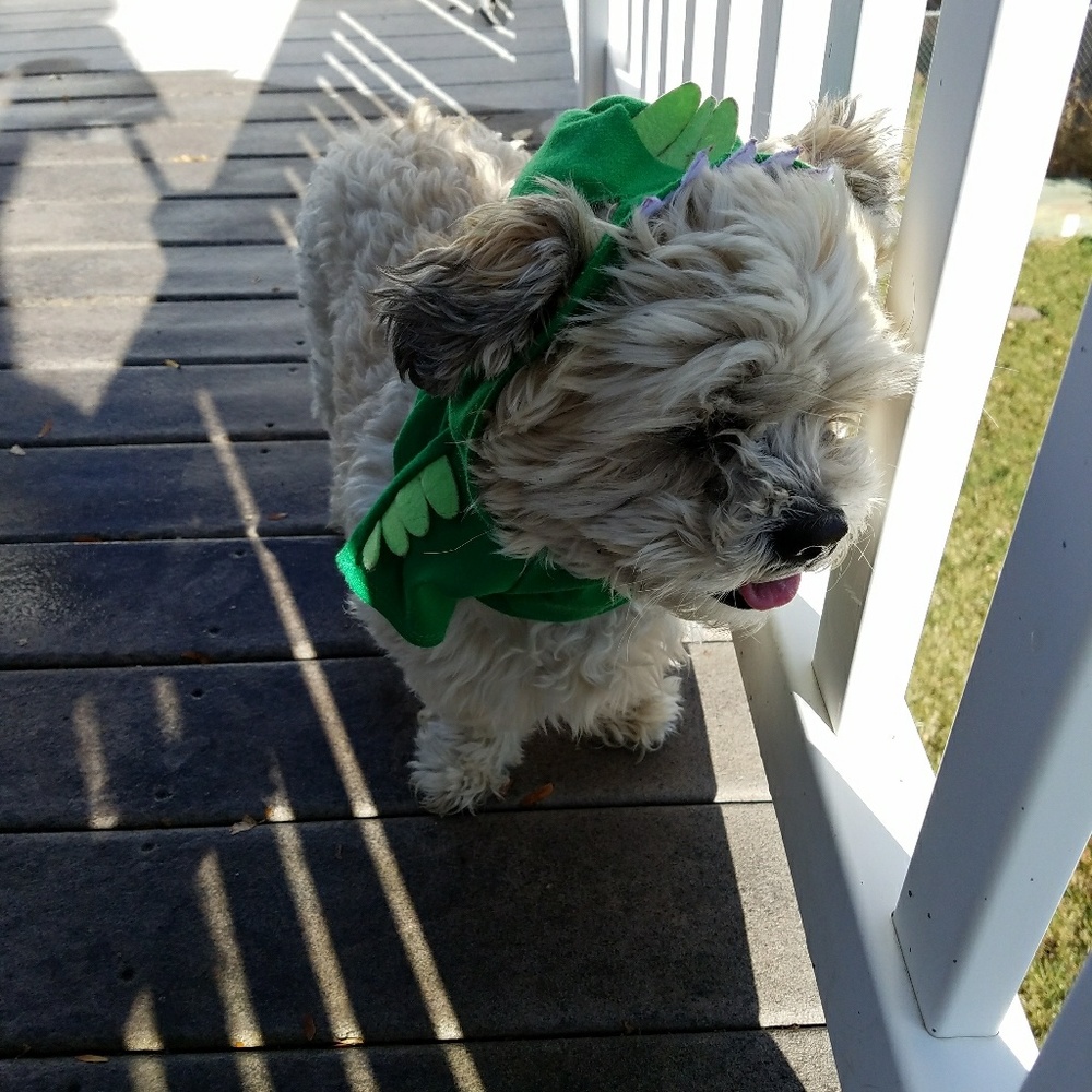 Meet your Posher, Leslie