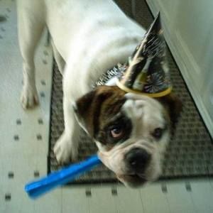 Meet your Posher, Justin